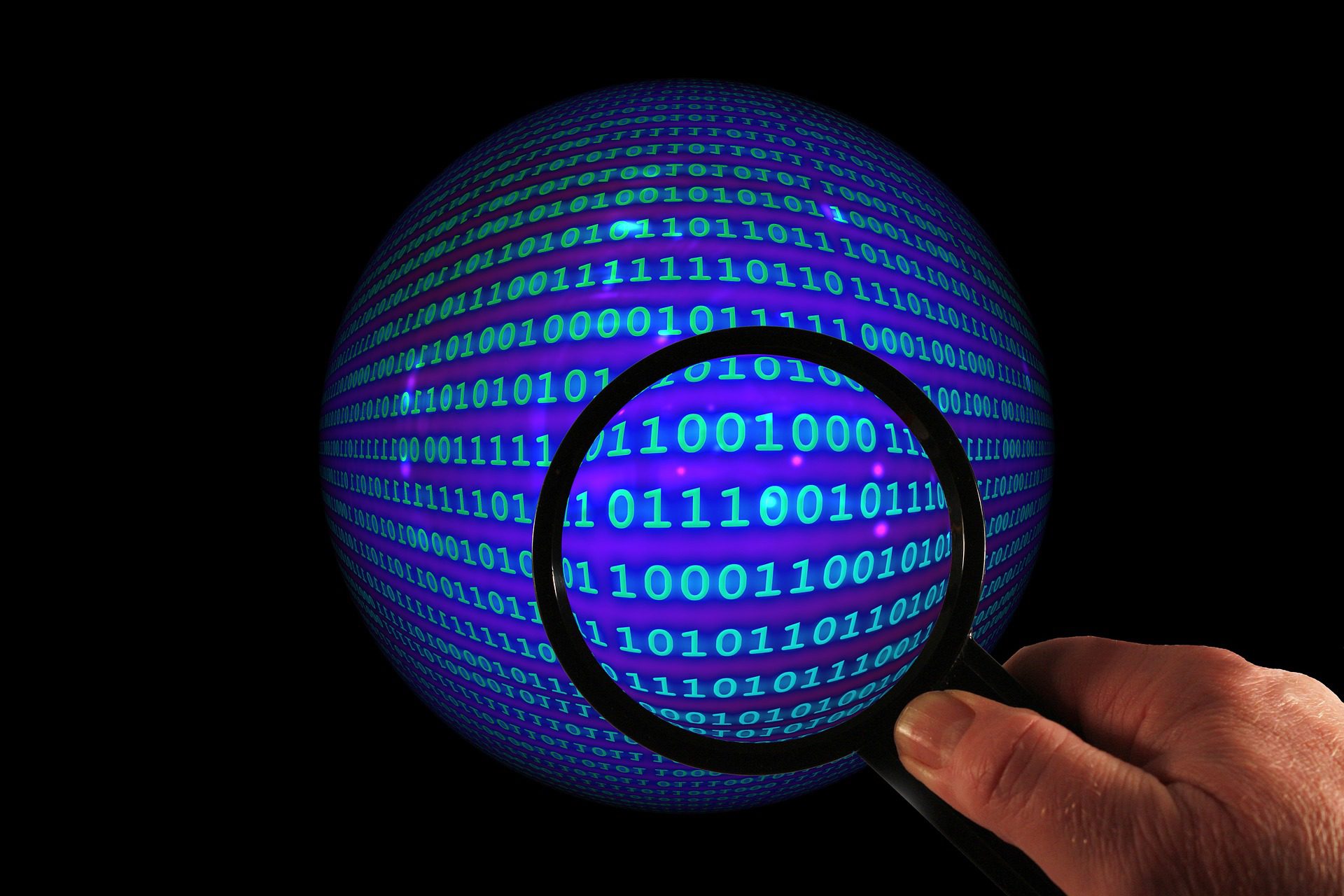 The Data Mining Market